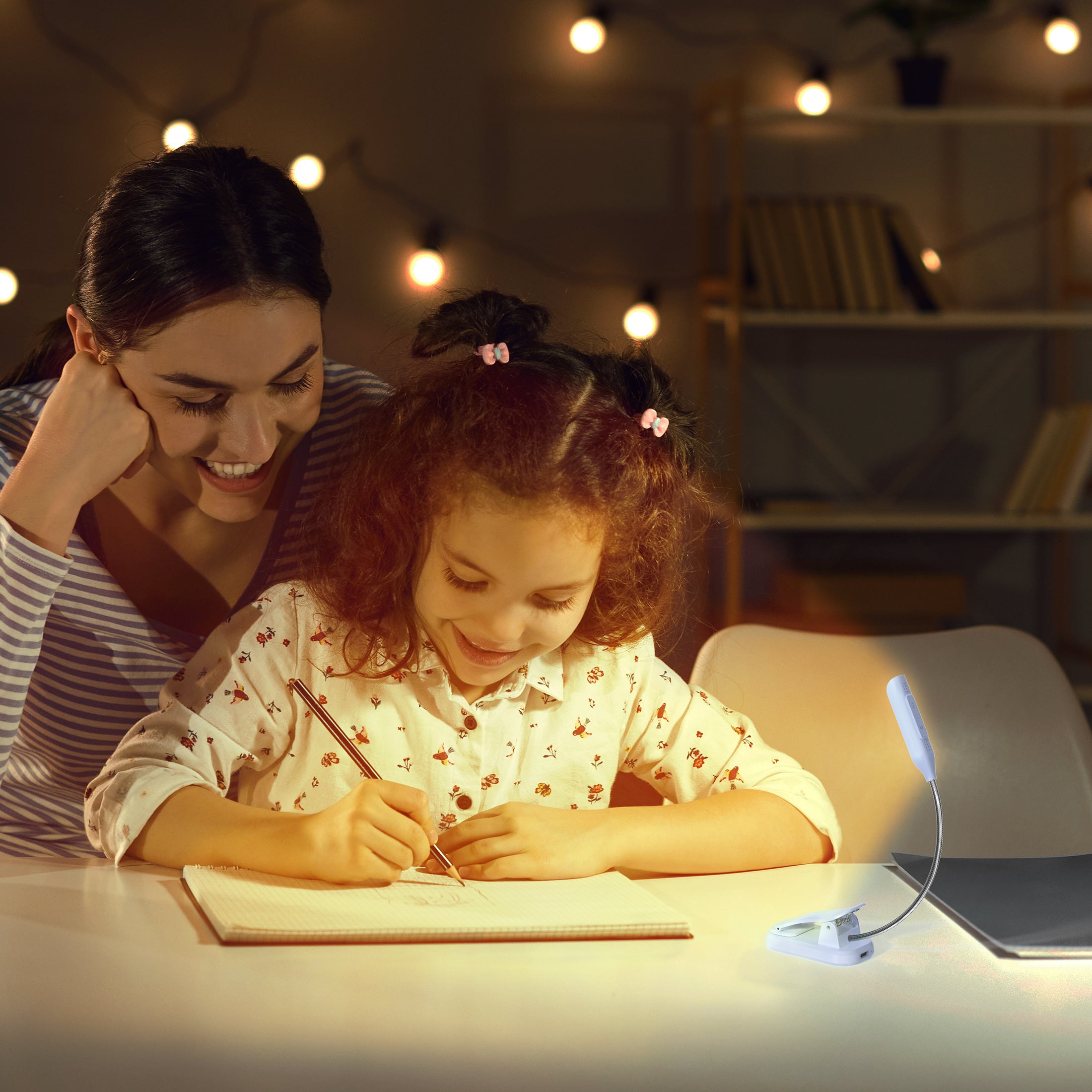 best book reading light