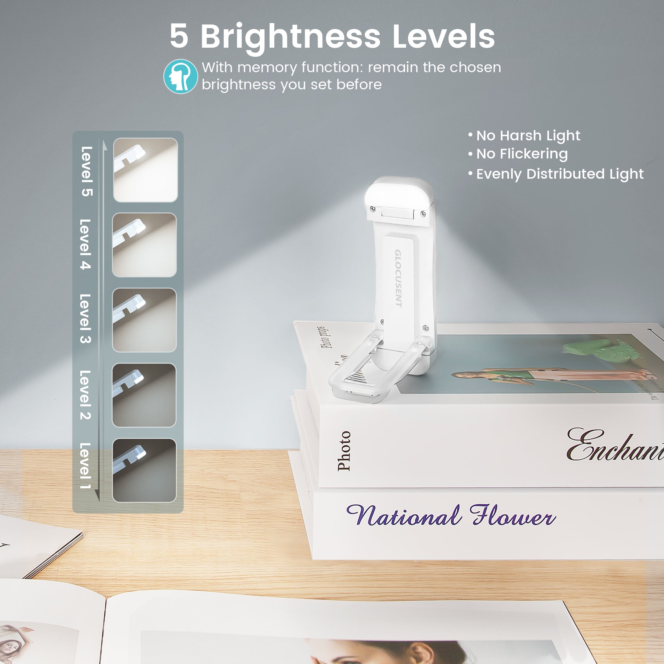 best book reading light with 5 brightness levels