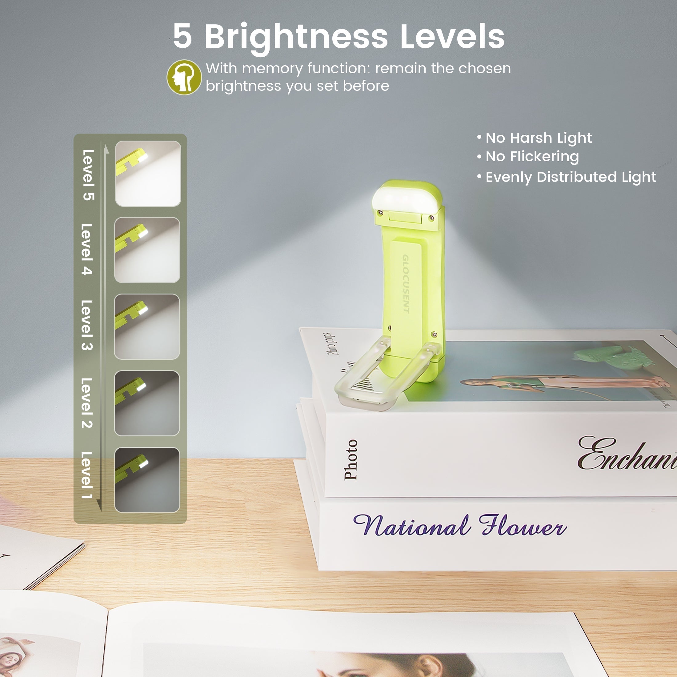best reading light with 5 brightness levels