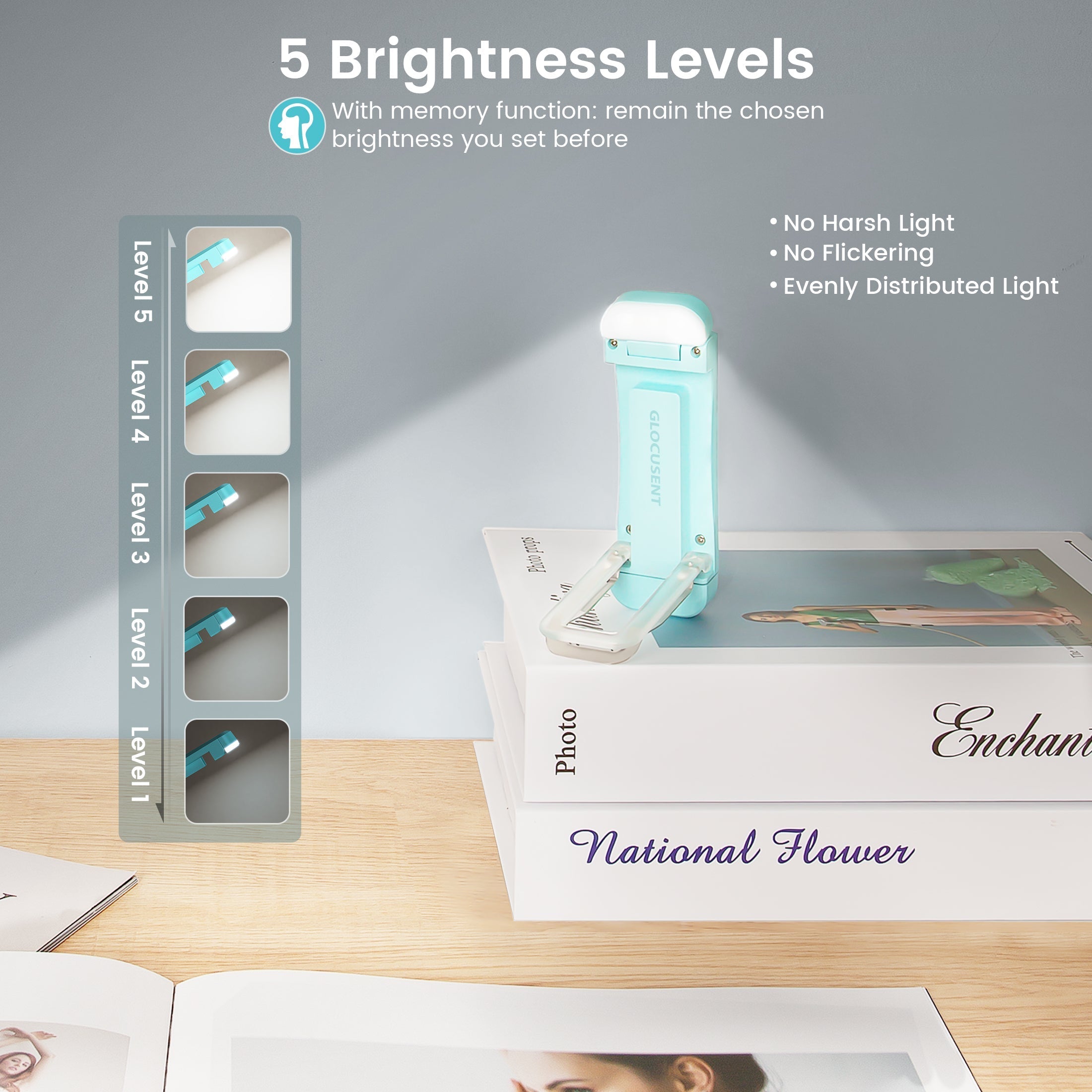 best reading light with 5 brightness levels